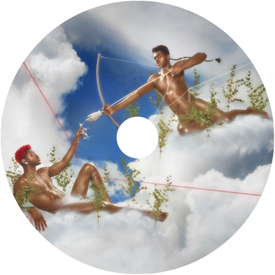 Scented Vinyl Refill