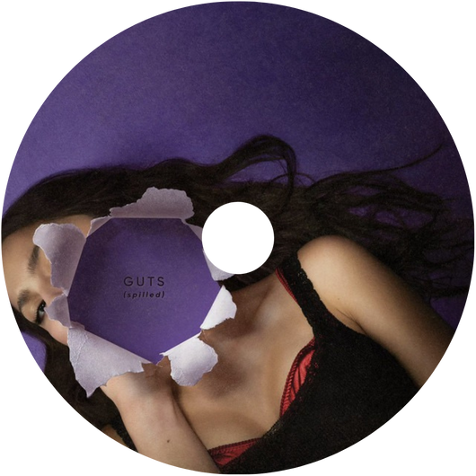 Scented Vinyl Refill
