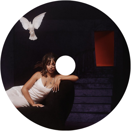 Scented Vinyl Refill