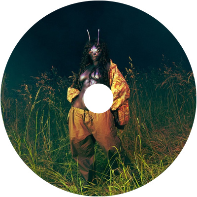 Scented Vinyl Refill