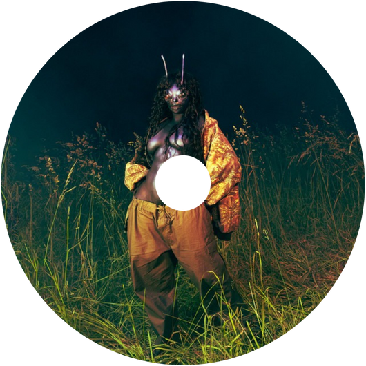 Scented Vinyl