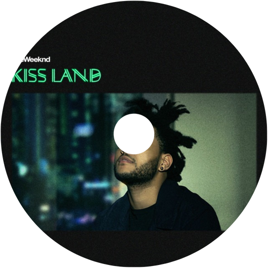 Scented Vinyl Refill