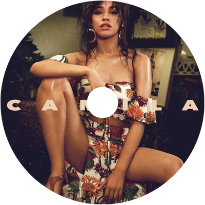 Scented Vinyl Refill