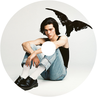 Scented Vinyl Refill